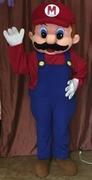 The Plumber The Plumber