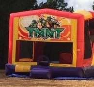 Ninja Turtles Ninja Turtles