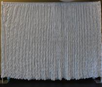 White Back Drop White Back Drop