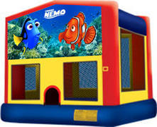 Nemo 13 Nemo 13