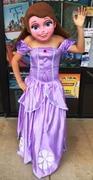 Little Princess Little Princess