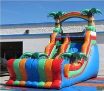 Tropical 20 Ft. Slide Wet Tropical 20 Ft. Slide Wet